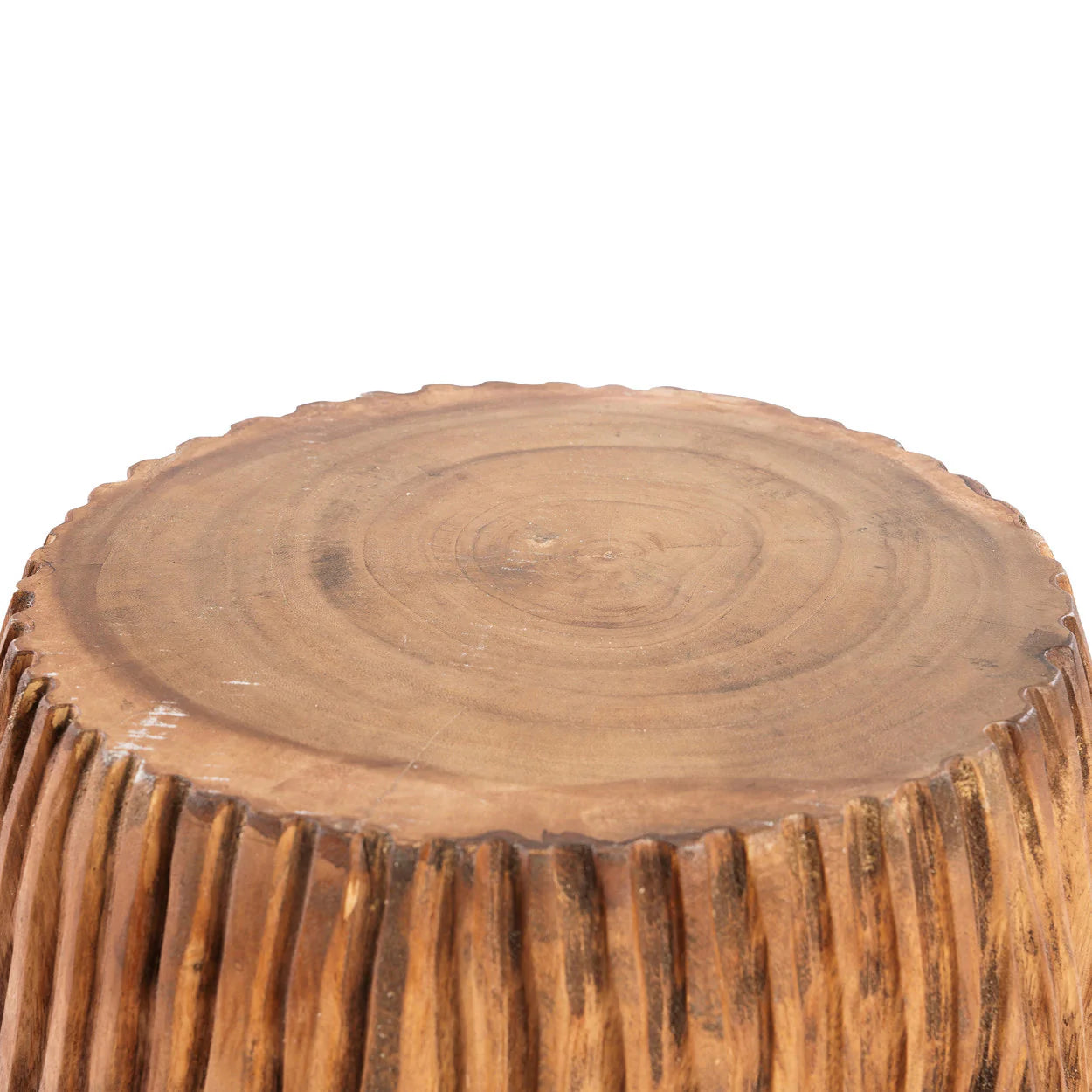 CELEBES HOCKER