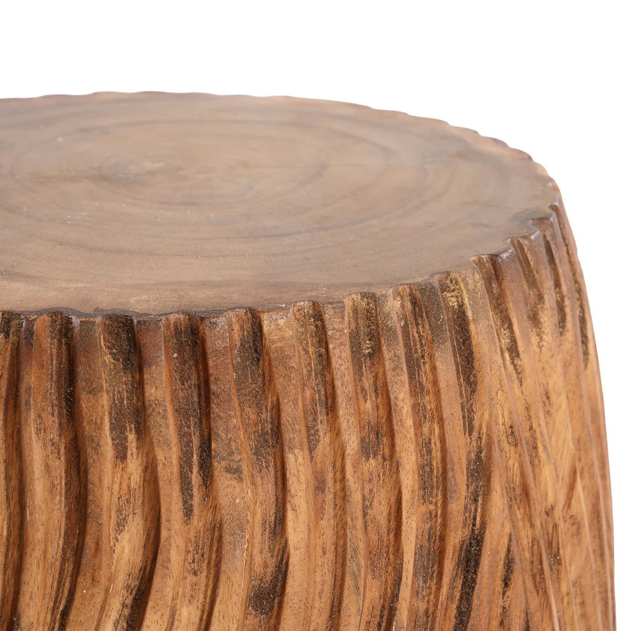 CELEBES HOCKER