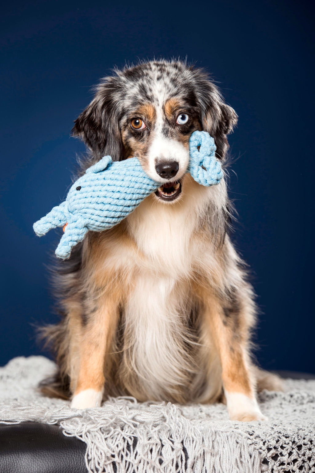 BIG OCEAN - SPIELZEUG SET