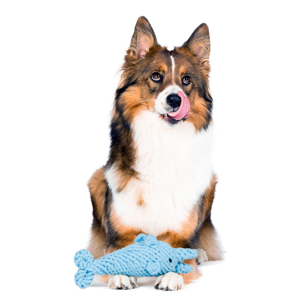 BIG OCEAN - SPIELZEUG SET