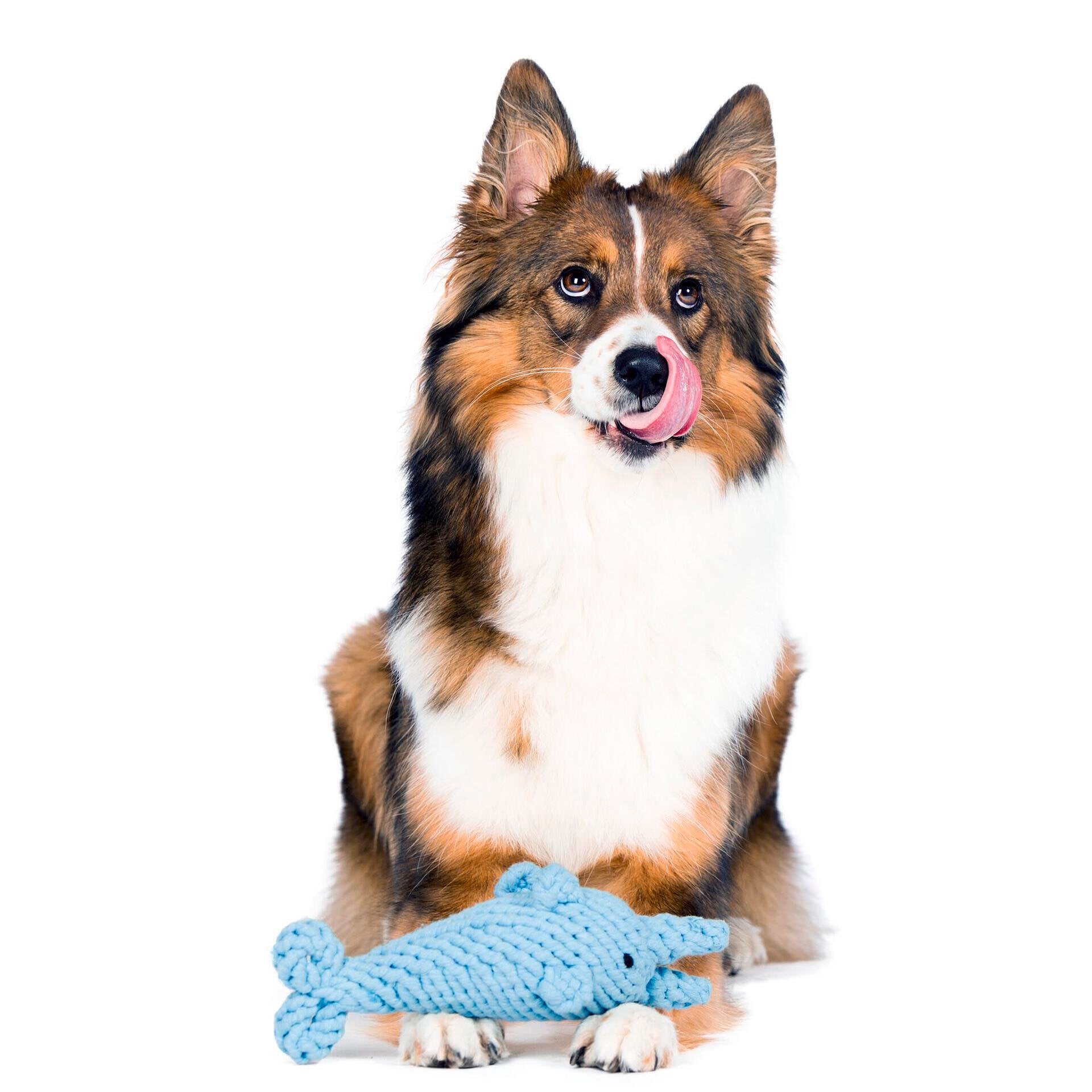 BIG OCEAN - SPIELZEUG SET