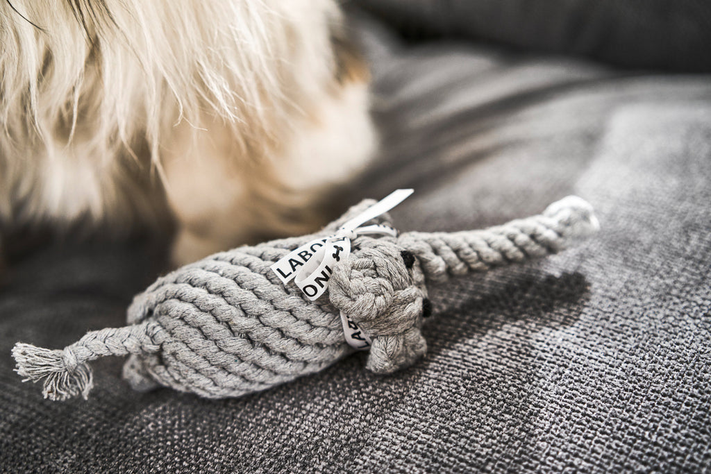 SAFARI - SPIELZEUG SET