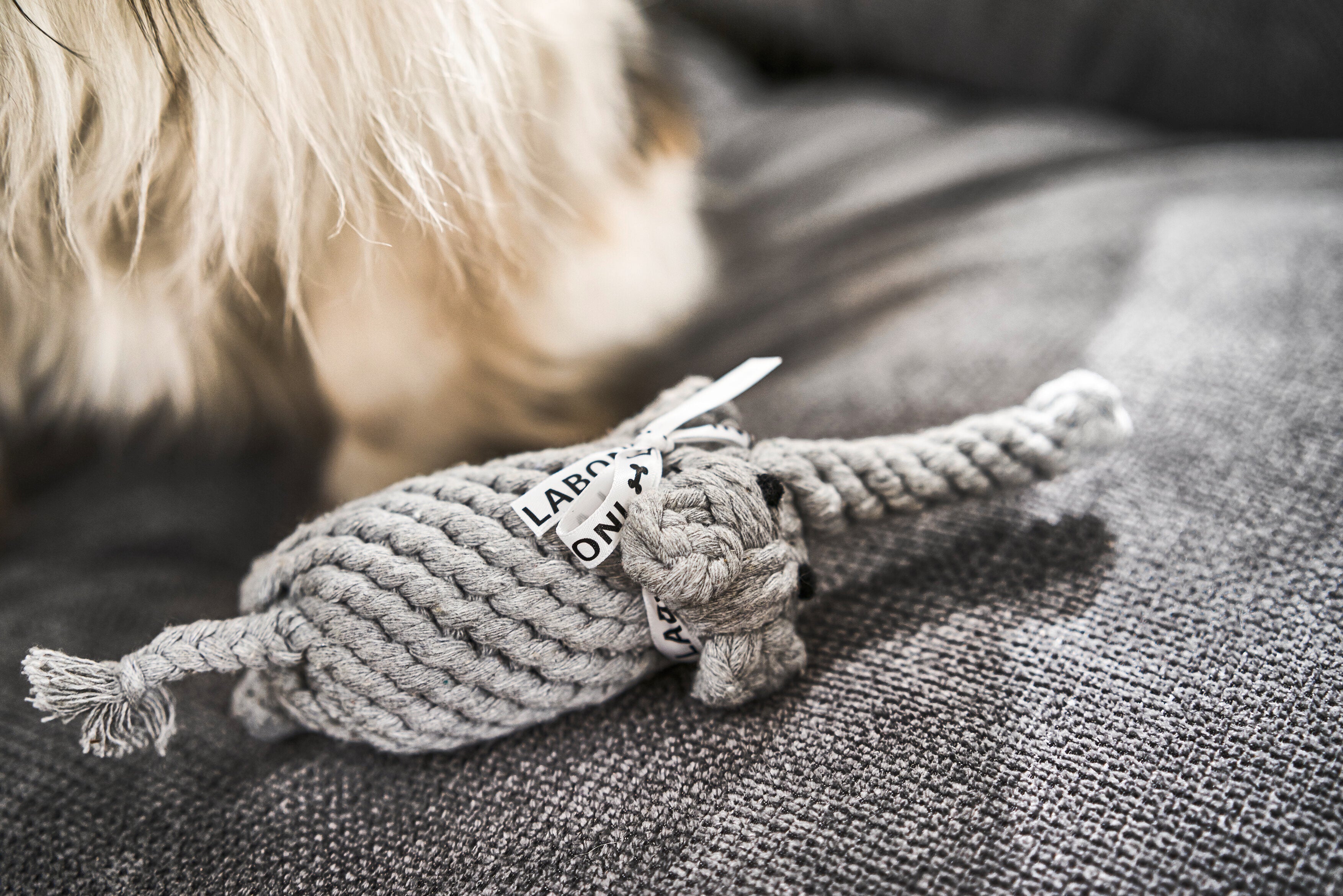 SAFARI - SPIELZEUG SET