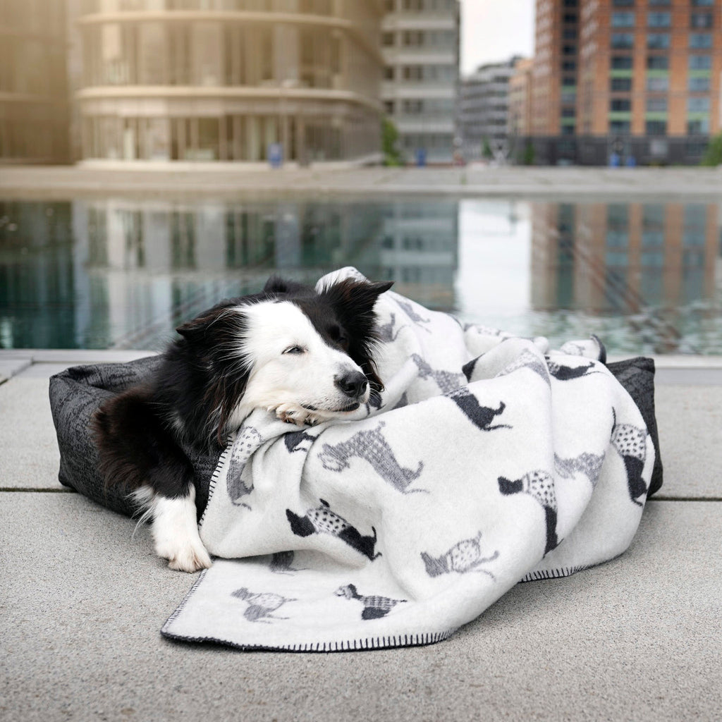 WENDEDECKE MIT DACKELMOTIV