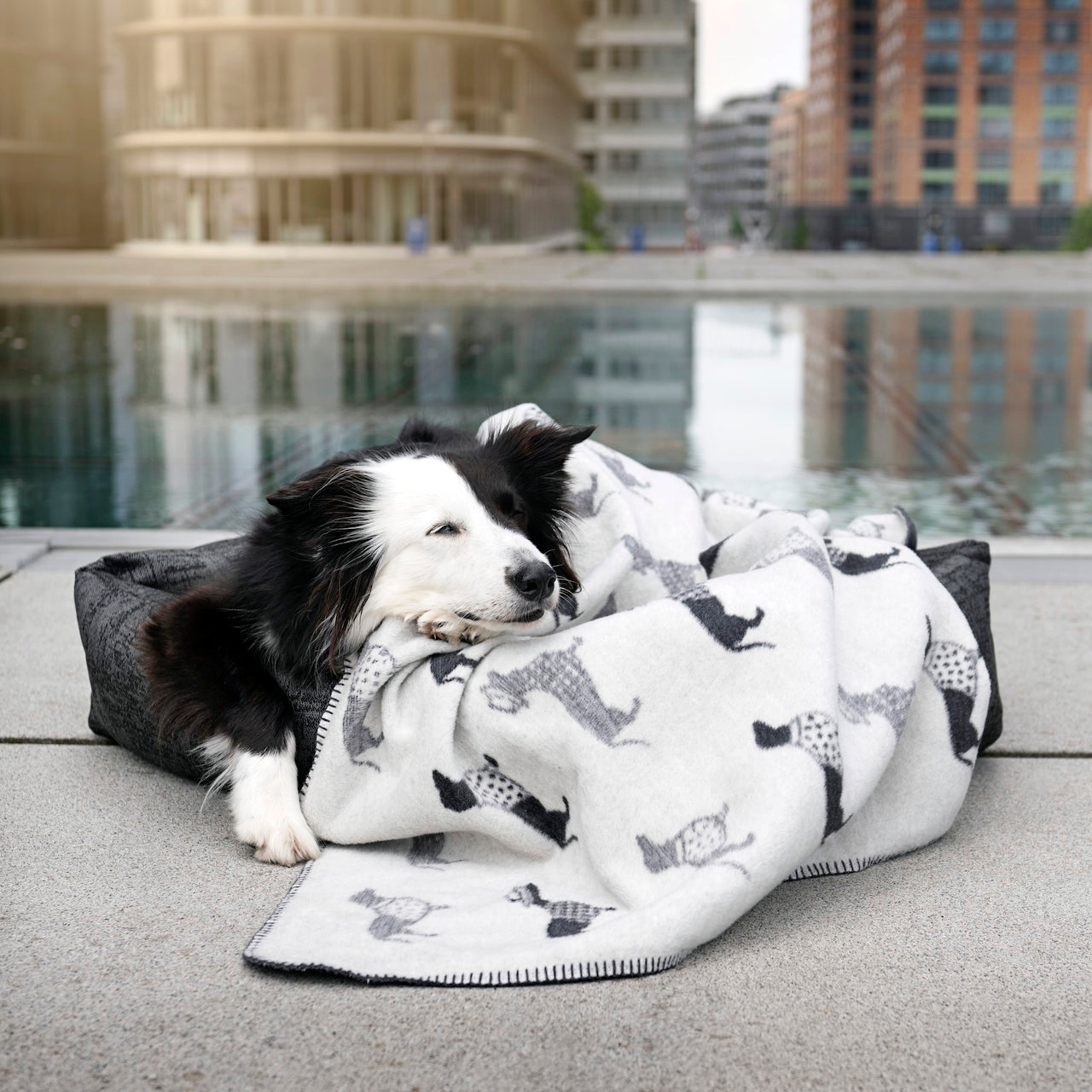 WENDEDECKE MIT DACKELMOTIV