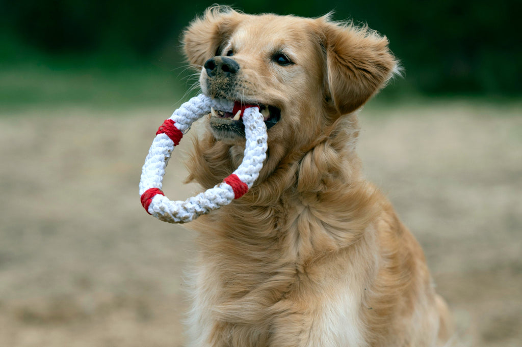 AHOI - SPIELZEUG SET