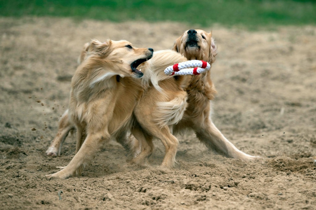 AHOI - SPIELZEUG SET