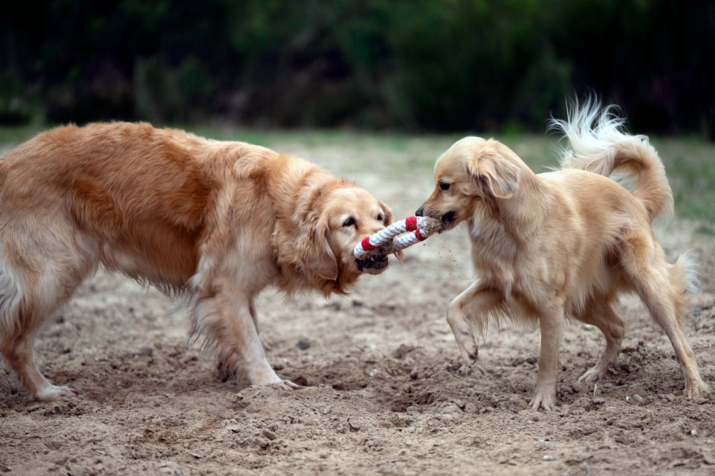 AHOI - SPIELZEUG SET