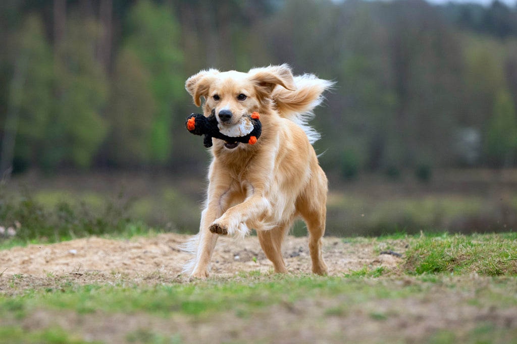 BIG OCEAN - SPIELZEUG SET