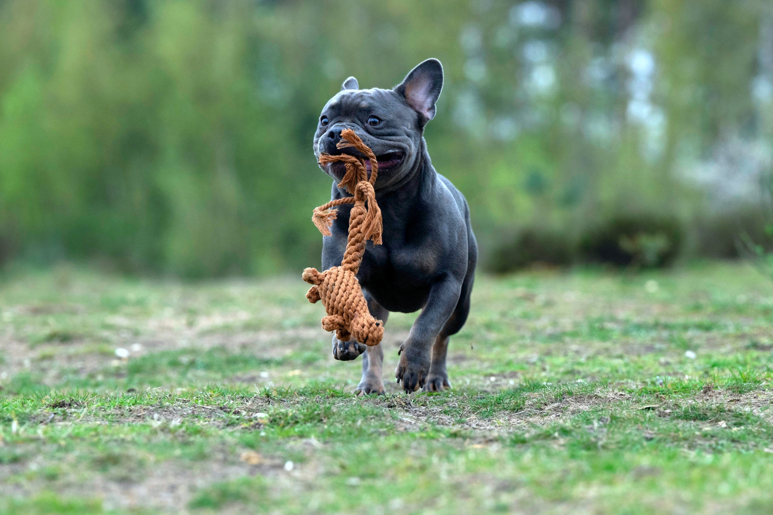 FARM - SPIELZEUG SET
