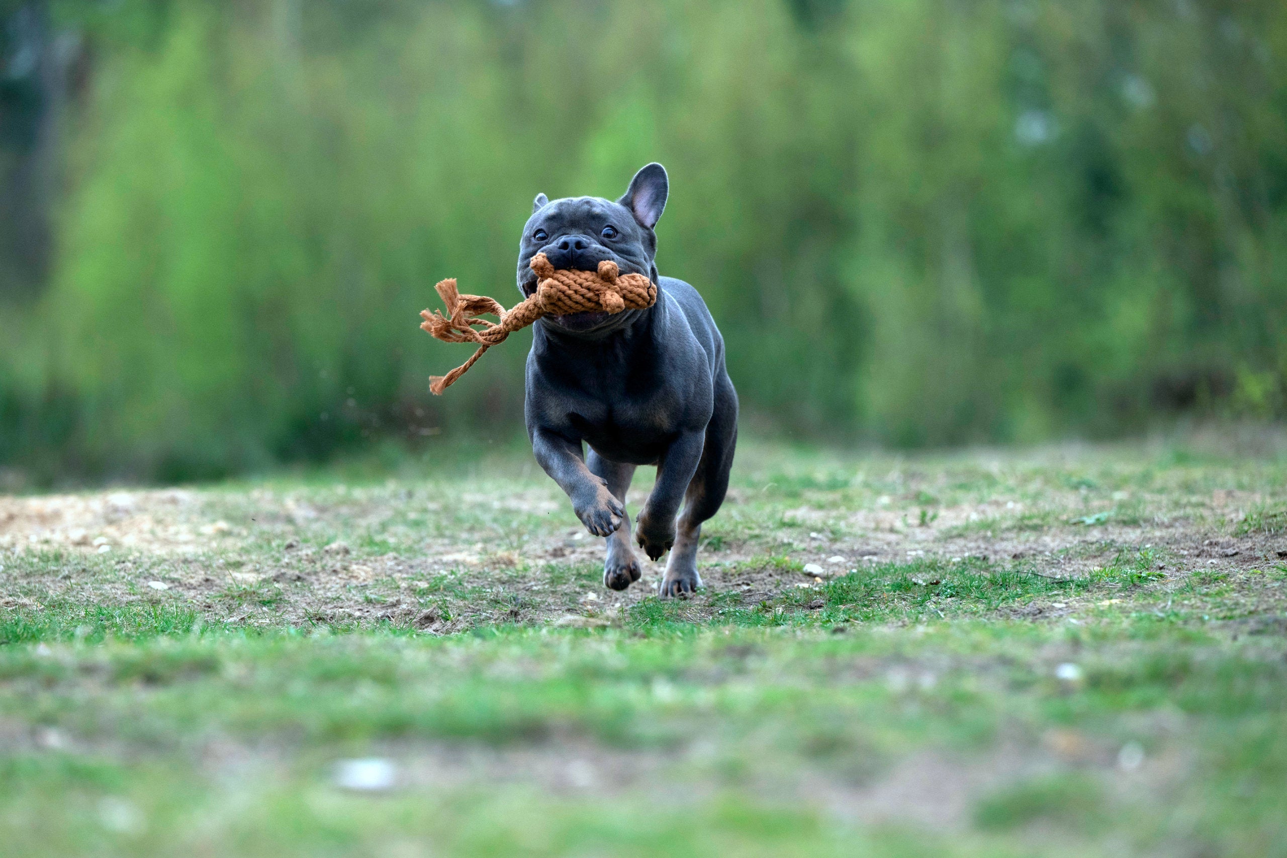 FARM - SPIELZEUG SET