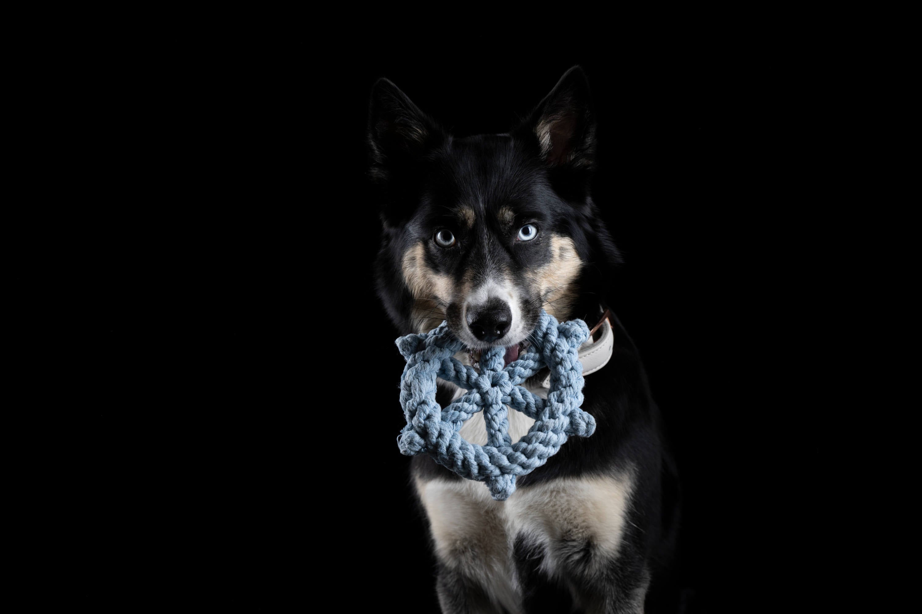 AHOI - SPIELZEUG SET