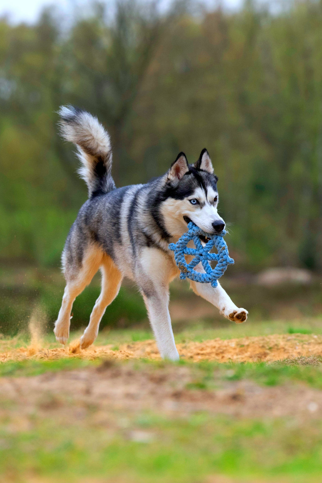 AHOI - SPIELZEUG SET