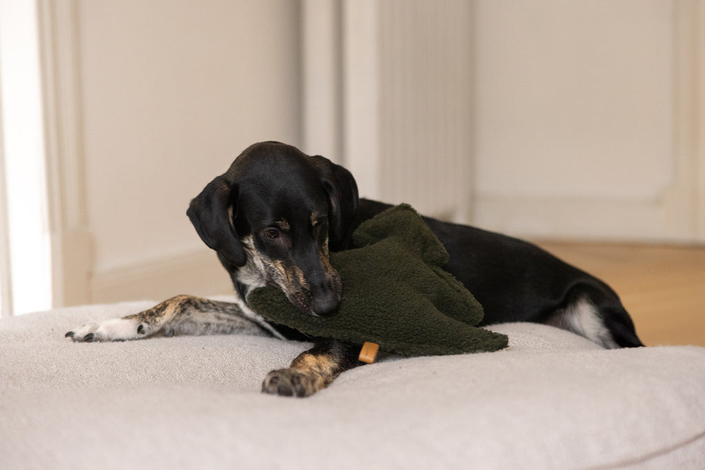 HUNDESPIELZEUG TANNENBAUM