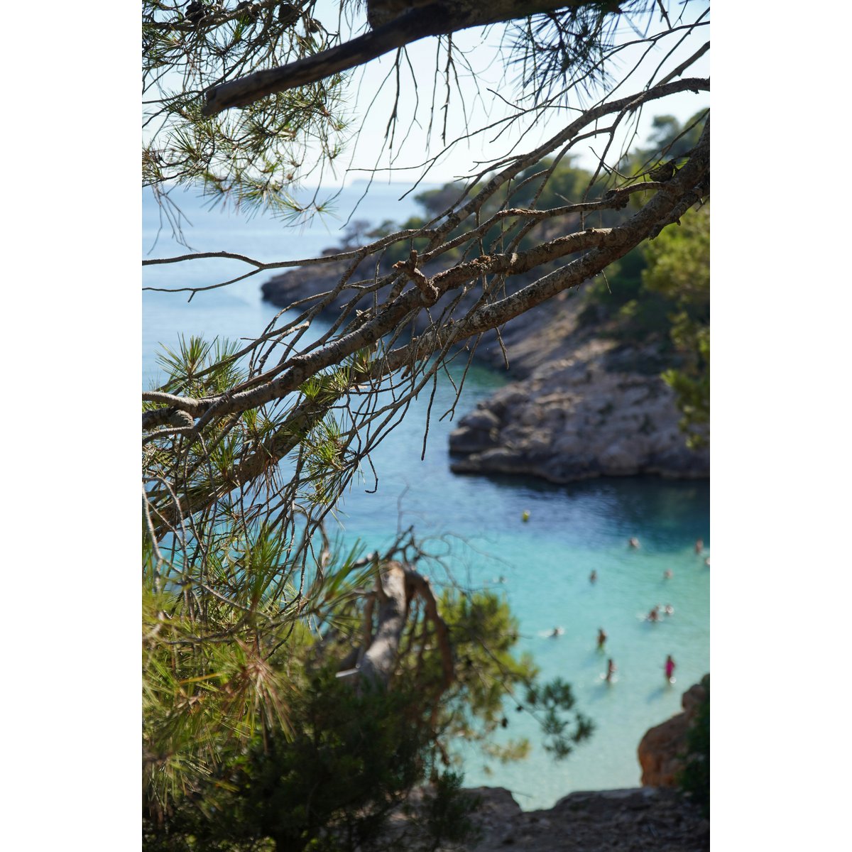 BUCH | ZU GAST AUF IBIZA