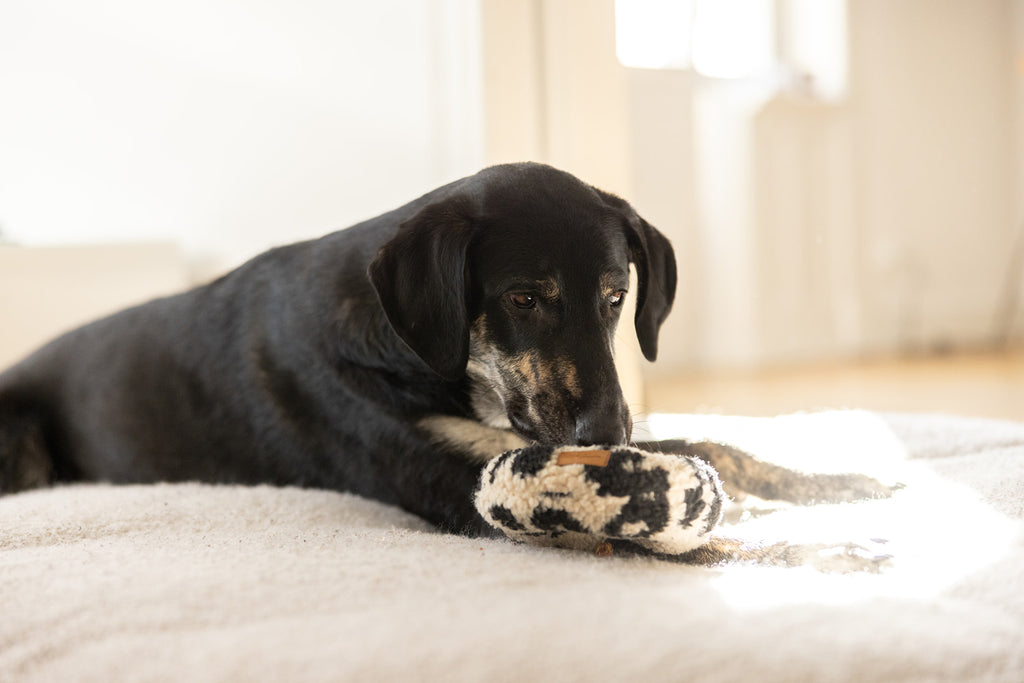 HUNDESPIELZEUG DONUT