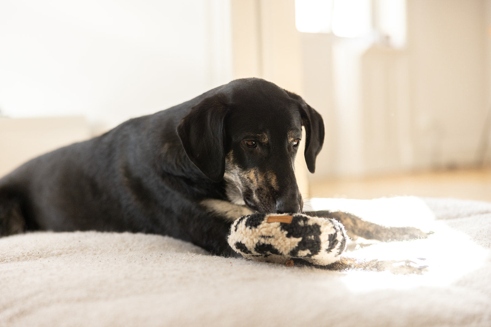 HUNDESPIELZEUG DONUT