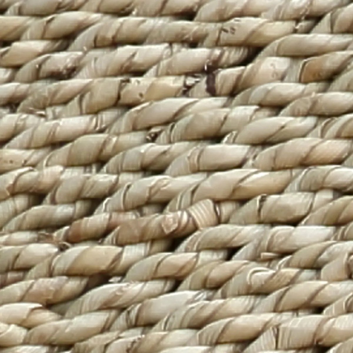 PORTO SEEGRASBANK - 110cm