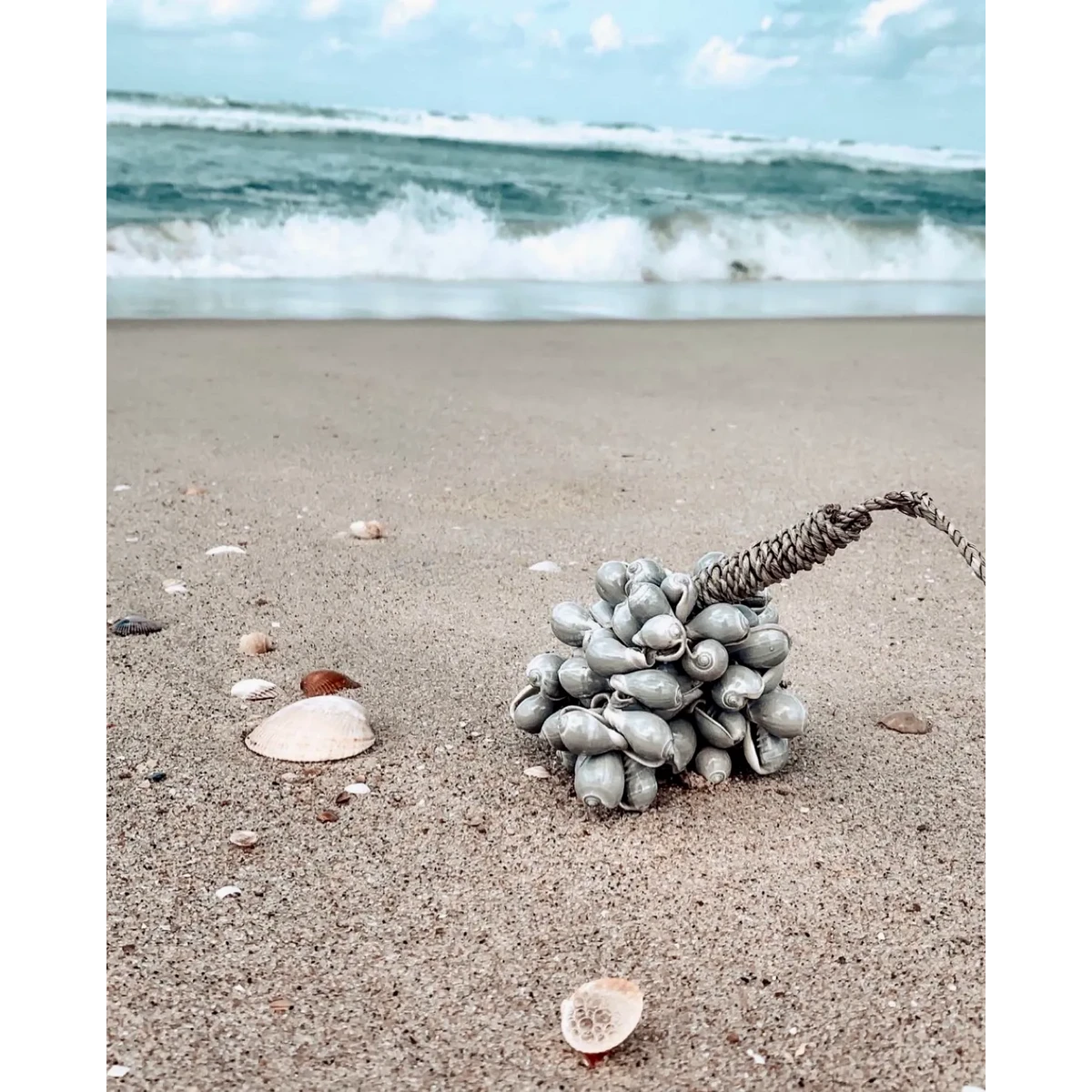 GRAUE MUSCHEL QUASTE