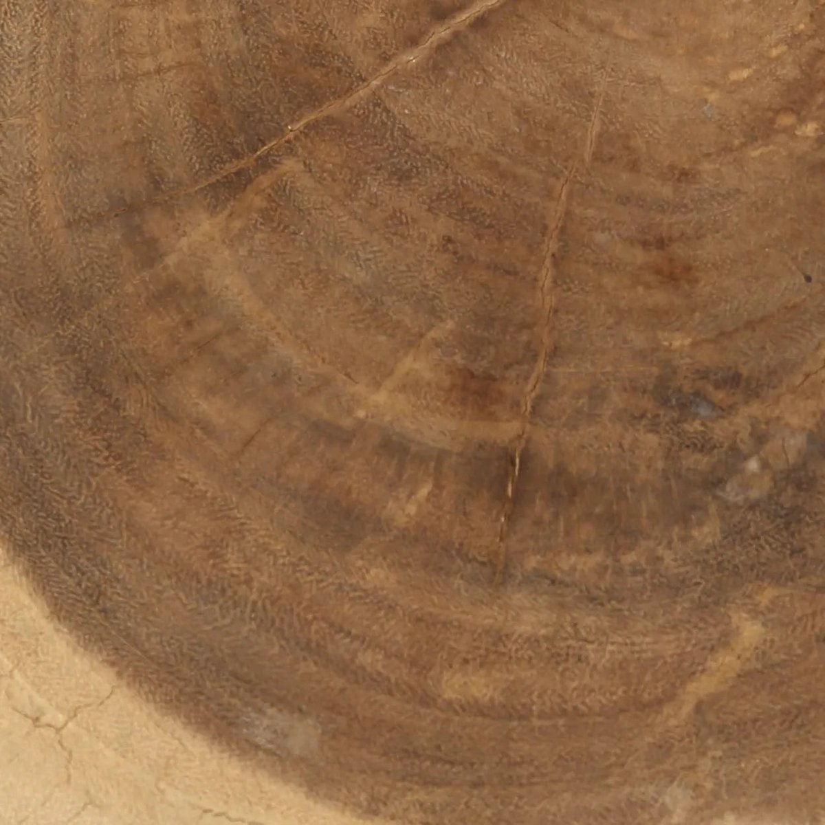 TRIBE HOCKER AUS MUNGURHOLZ (NATURWEIß)