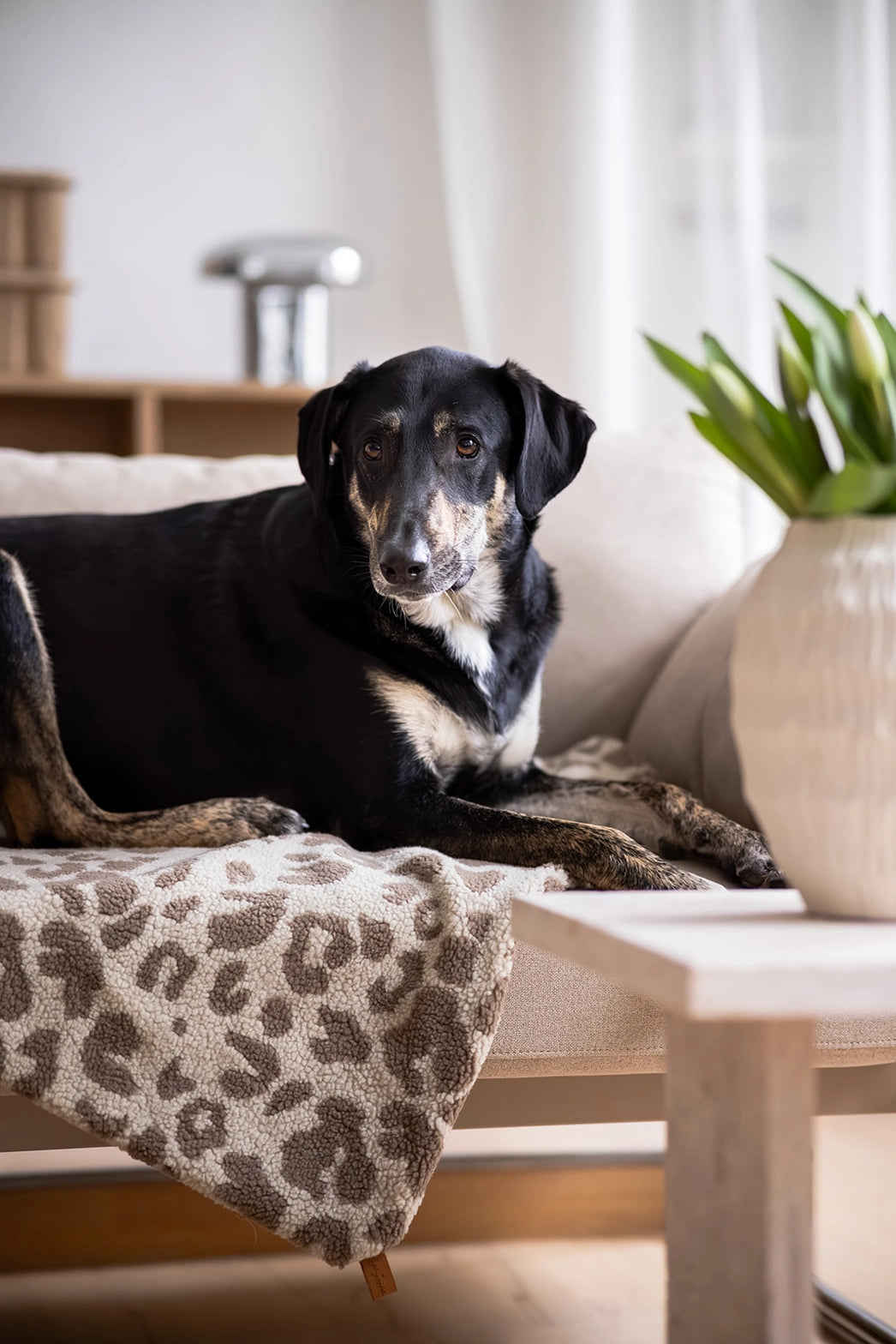 HUNDEDECKE NUBE (LEO BEIGE/BRAUN)