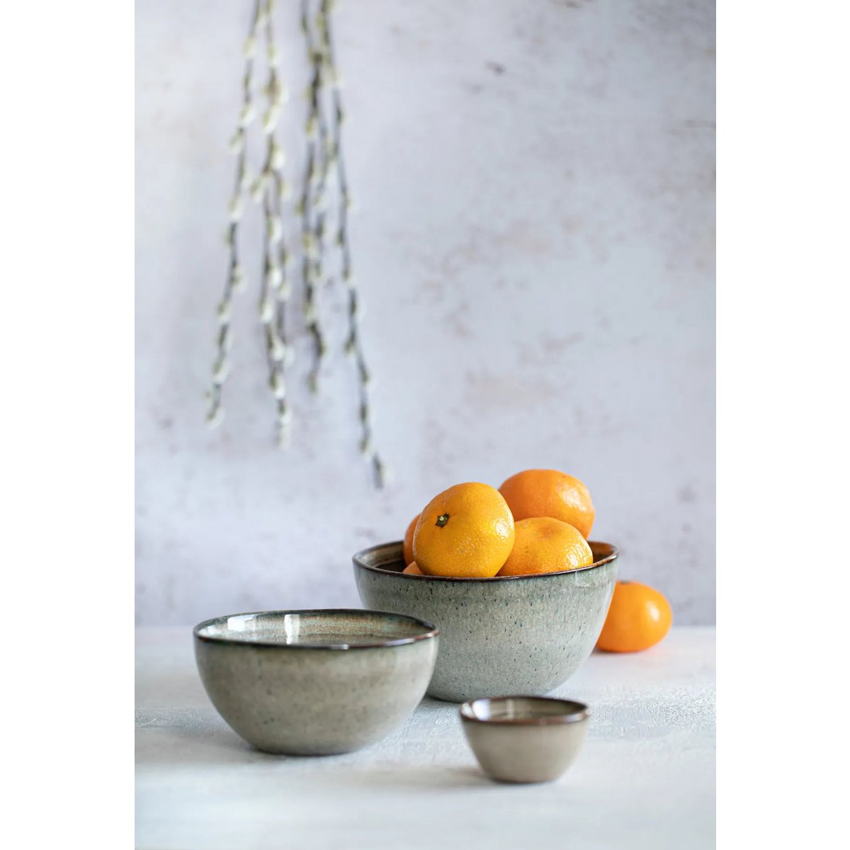 COMPORTA SCHÜSSEL - 15cm (6 Stk.)