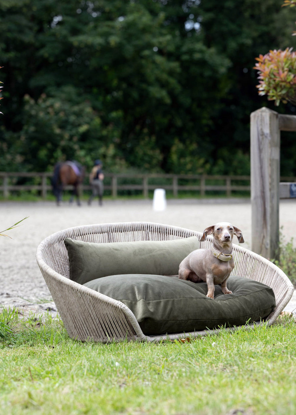 VOGUE - DESIGN HUNDEBETT OXFORD