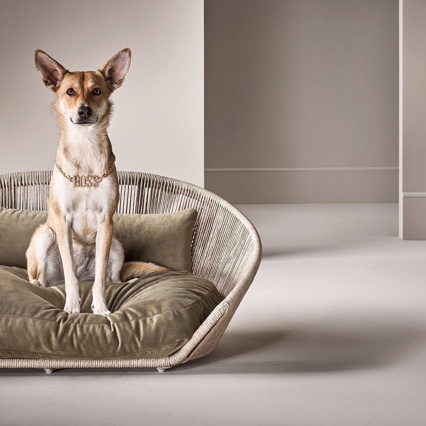 VOGUE - DESIGN HUNDEBETT OXFORD