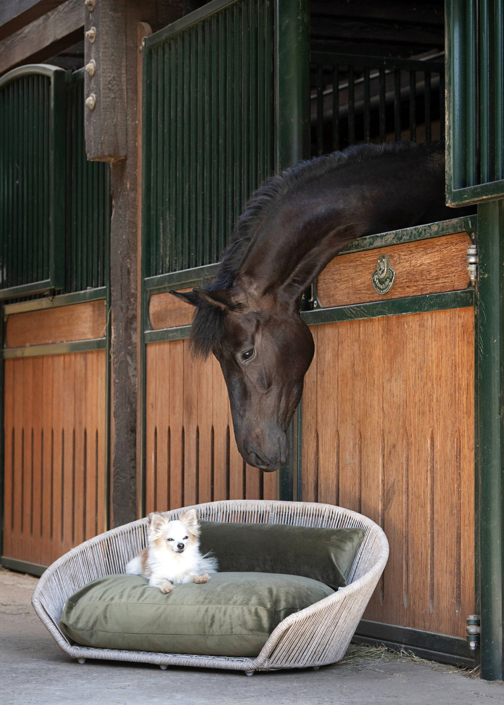 VOGUE - DESIGN HUNDEBETT OXFORD