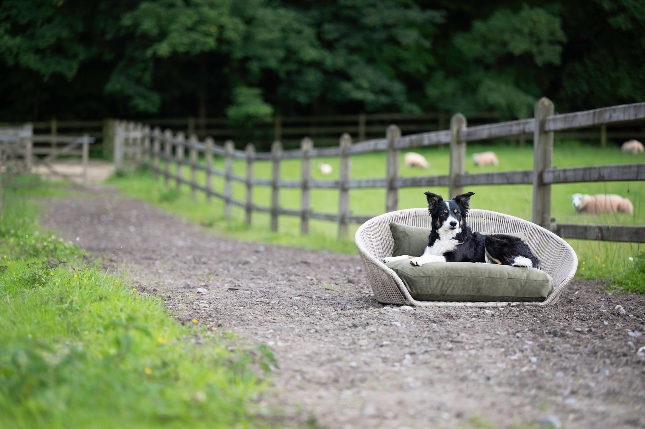 VOGUE - DESIGN HUNDEBETT OXFORD