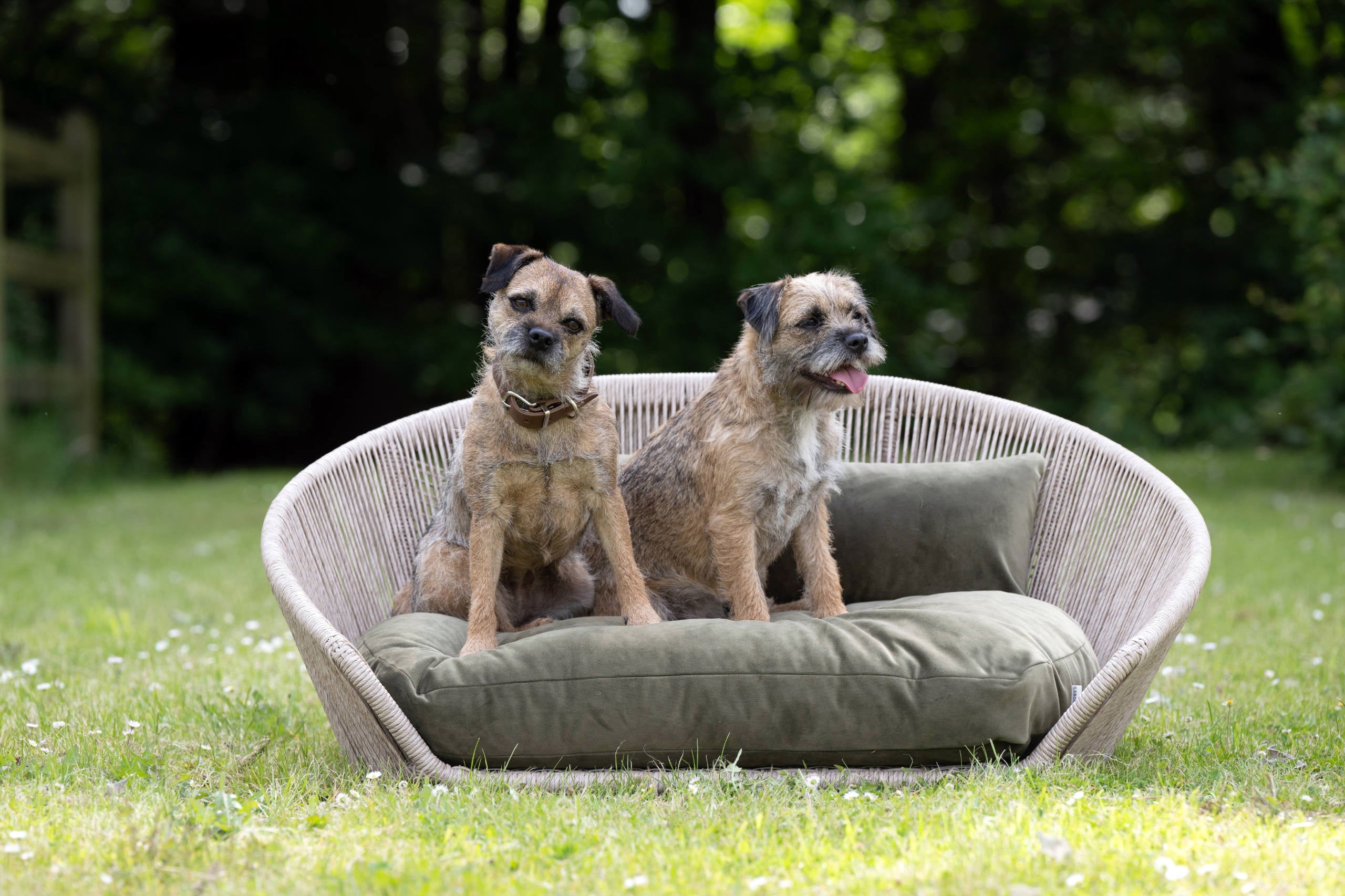 VOGUE - DESIGN HUNDEBETT OXFORD