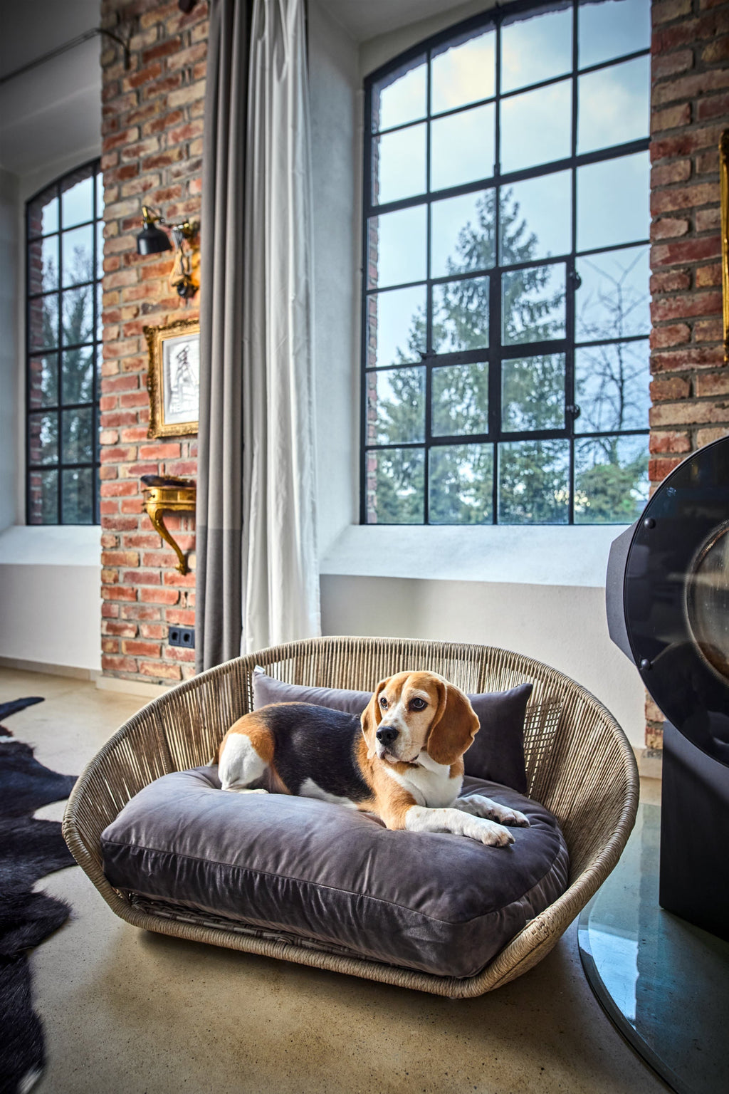 VOGUE - DESIGN HUNDEBETT OXFORD