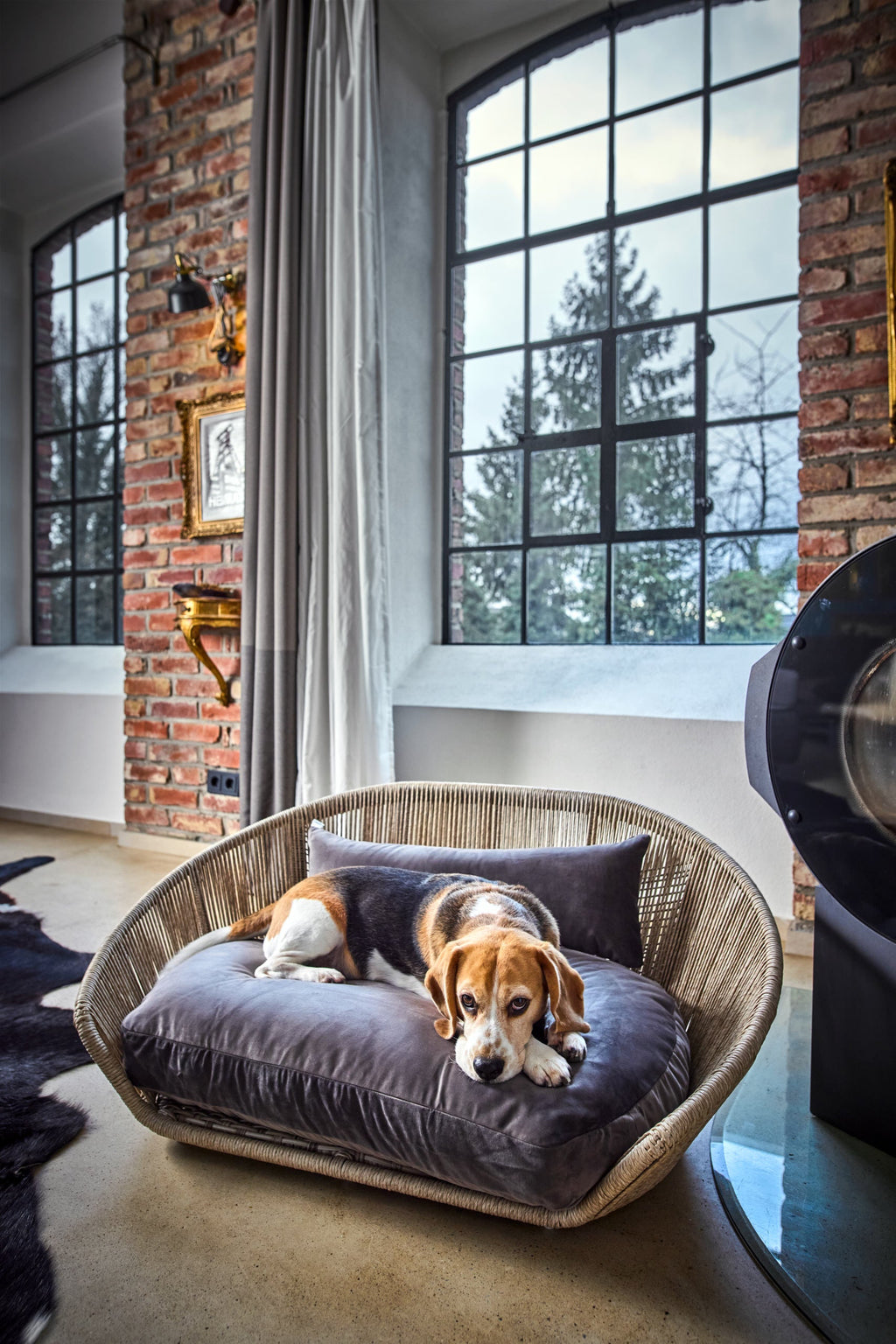 VOGUE - DESIGN HUNDEBETT OXFORD