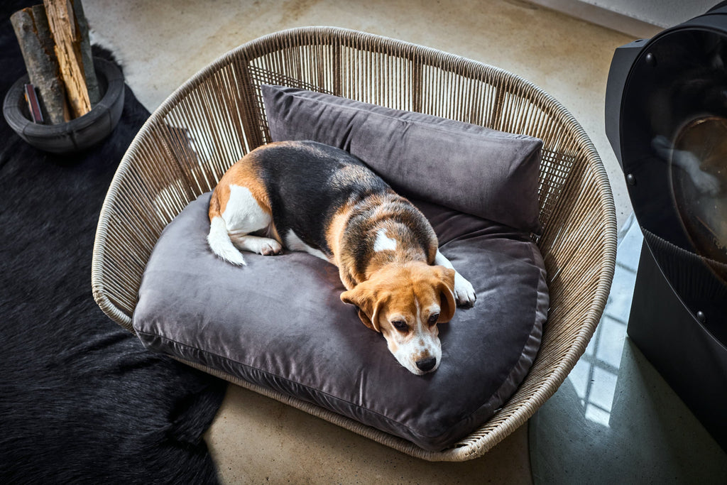 VOGUE - DESIGN HUNDEBETT OXFORD