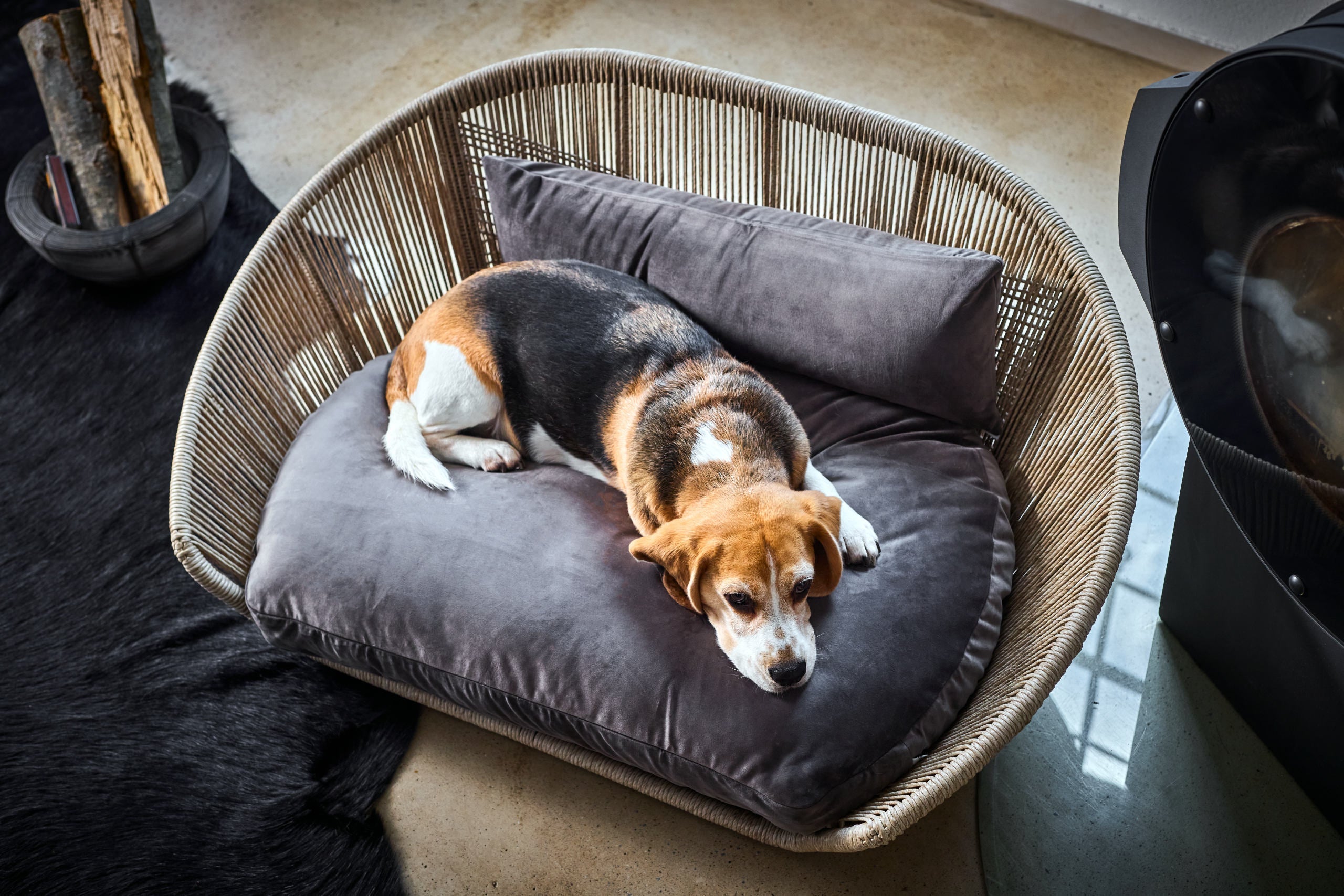 VOGUE - DESIGN HUNDEBETT OXFORD