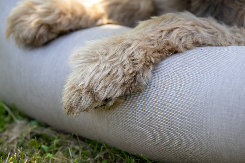 OUTDOOR HUNDEBETT  - SMOOTH LINO