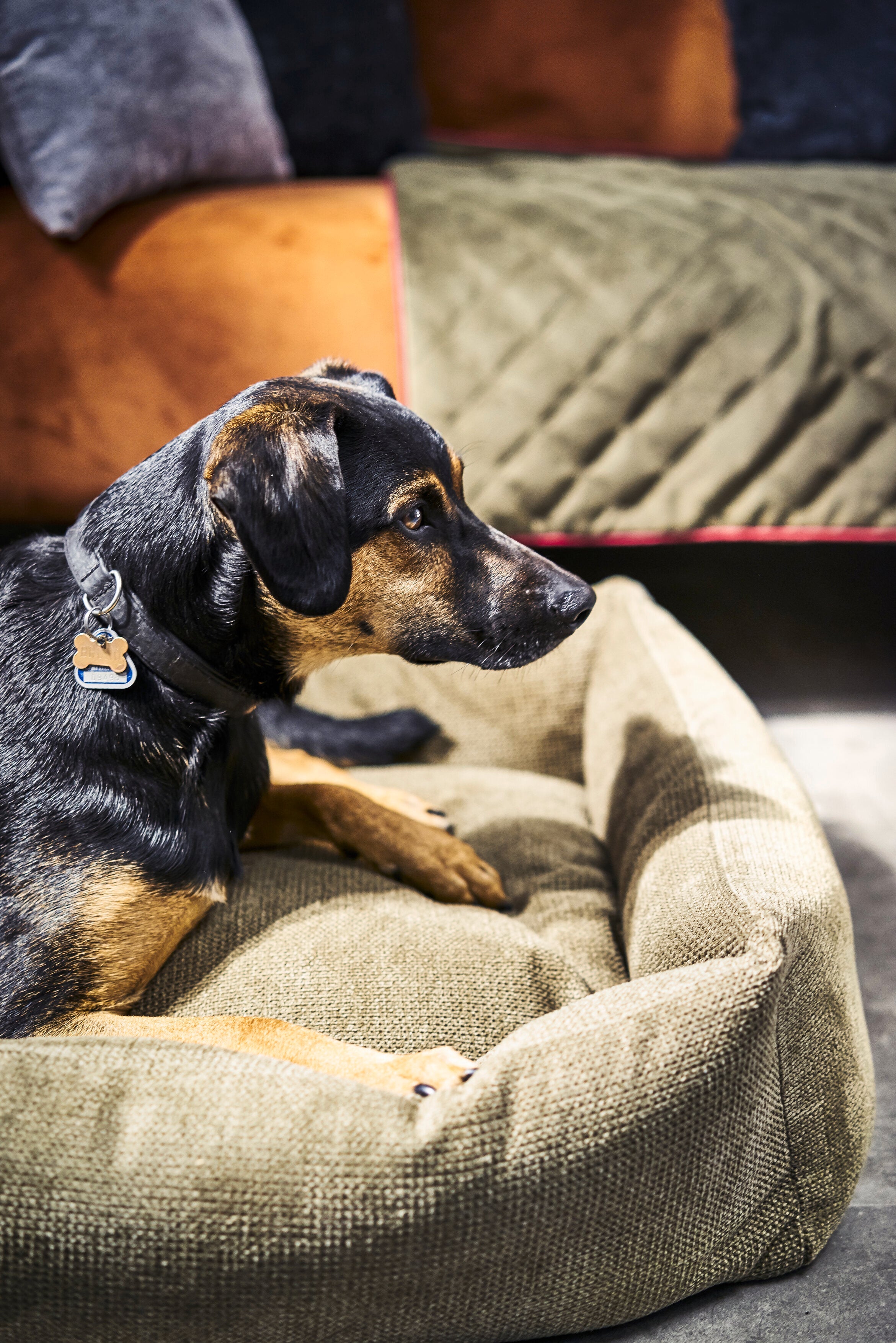 CLASSIC HUNDEBETT  - TUDOR OLIVE