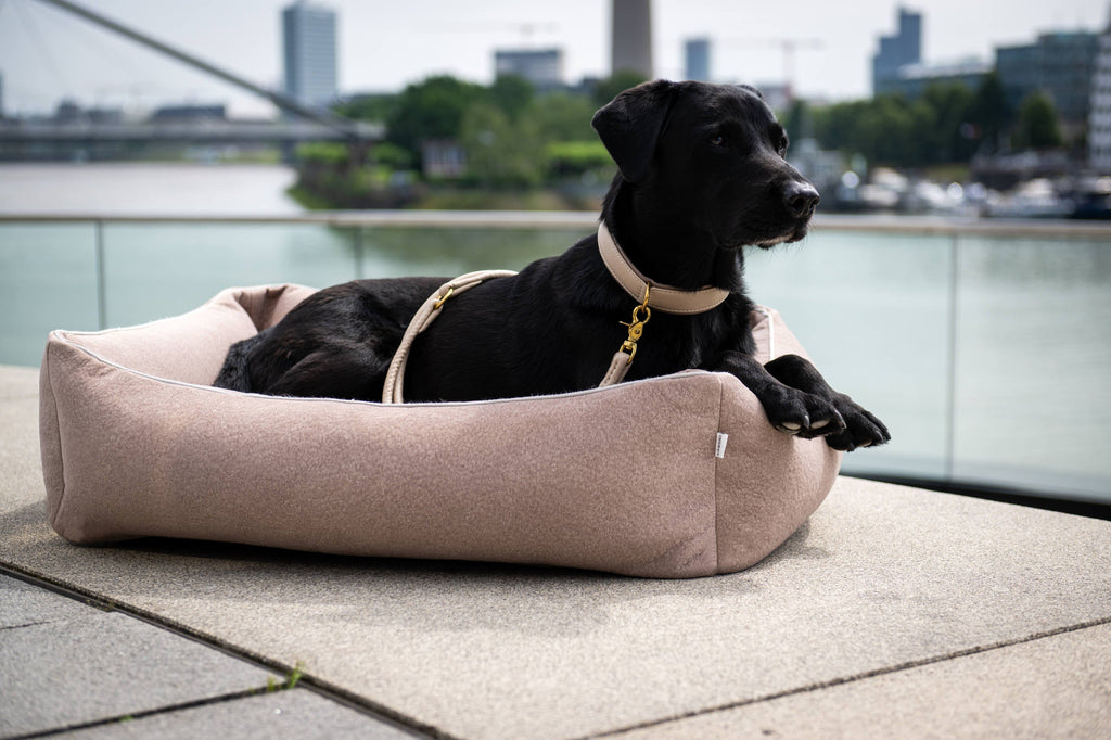 CLASSIC HUNDEBETT  - BUFFALO CREME