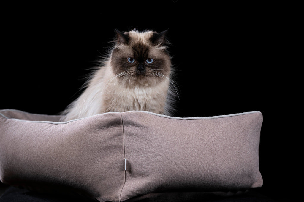 CLASSIC HUNDEBETT  - BUFFALO CREME