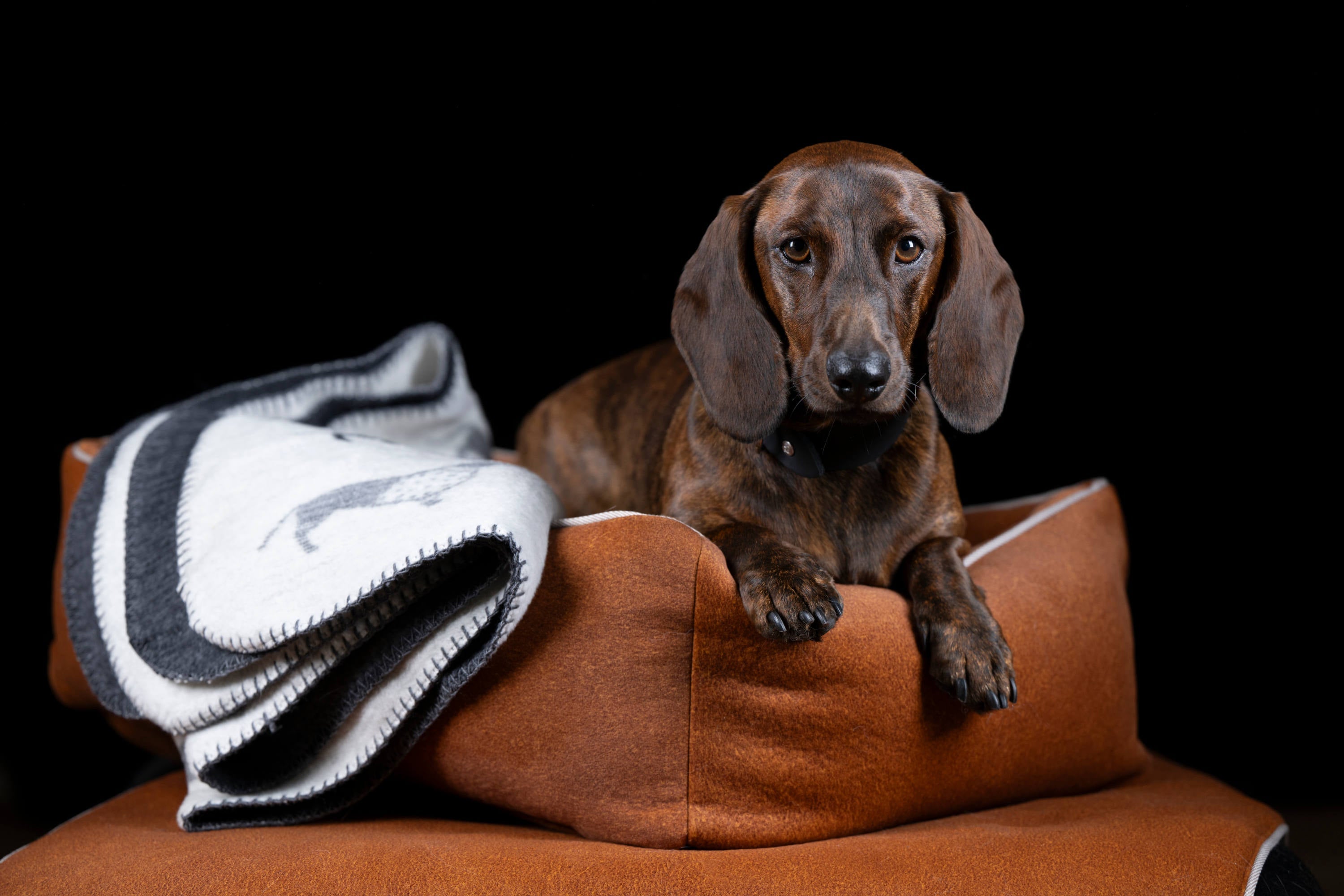 CLASSIC HUNDEBETT - BUFFALO CAMEL