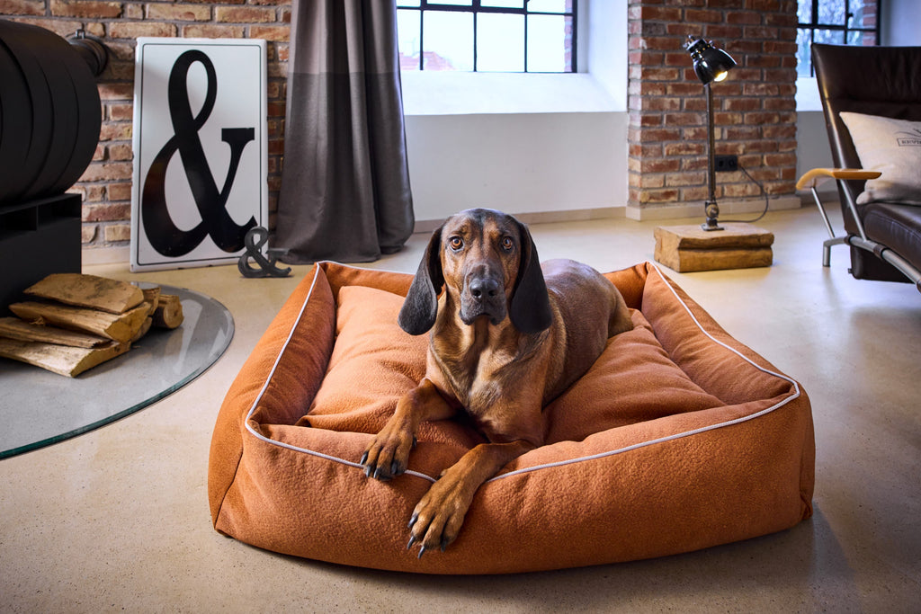 CLASSIC HUNDEBETT - BUFFALO CAMEL