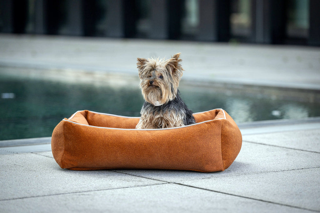 CLASSIC HUNDEBETT - BUFFALO CAMEL