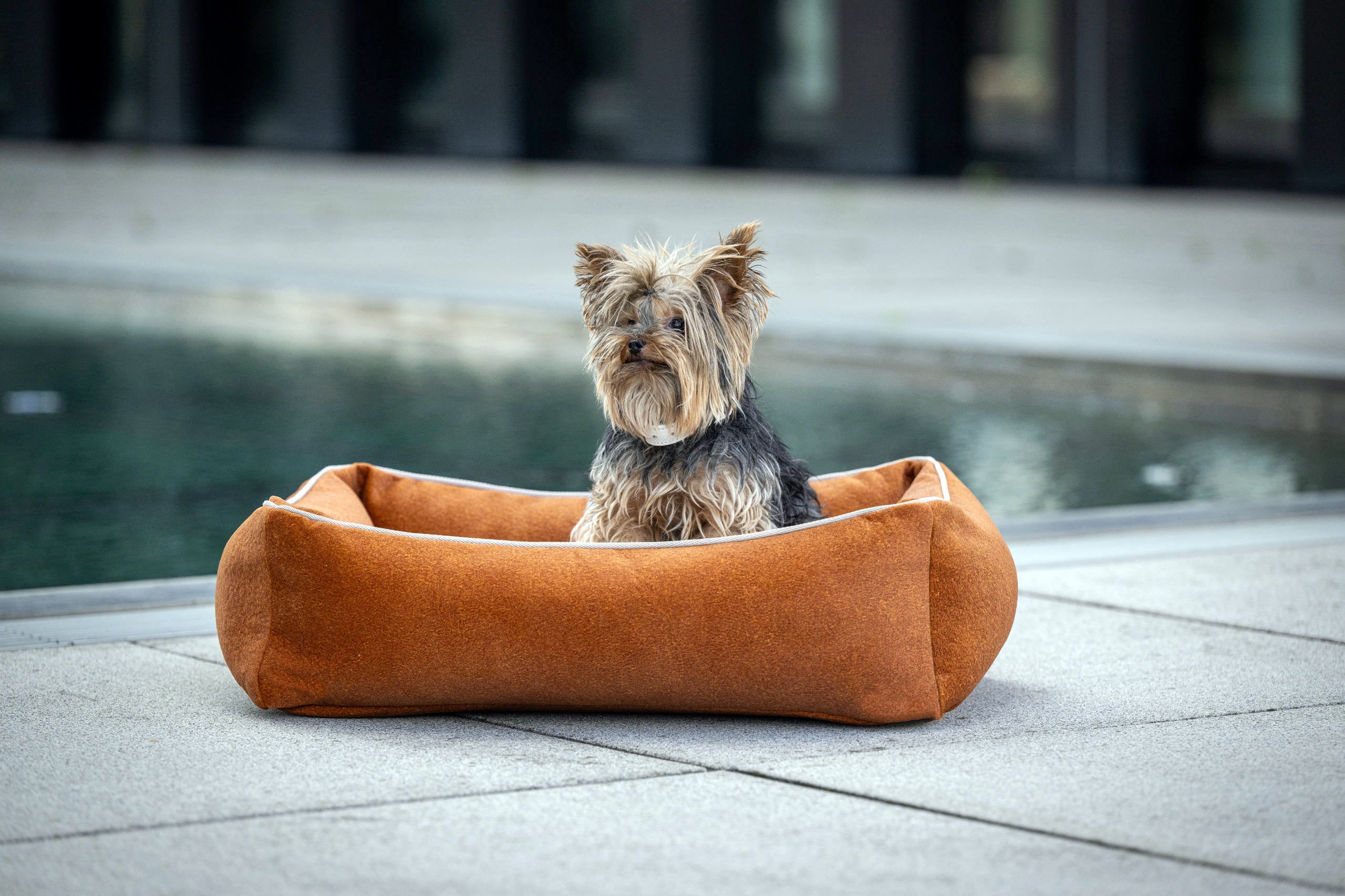 CLASSIC HUNDEBETT - BUFFALO CAMEL