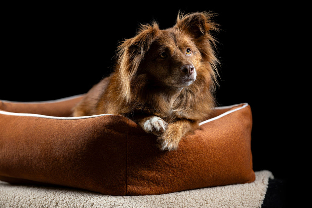 CLASSIC HUNDEBETT - BUFFALO CAMEL