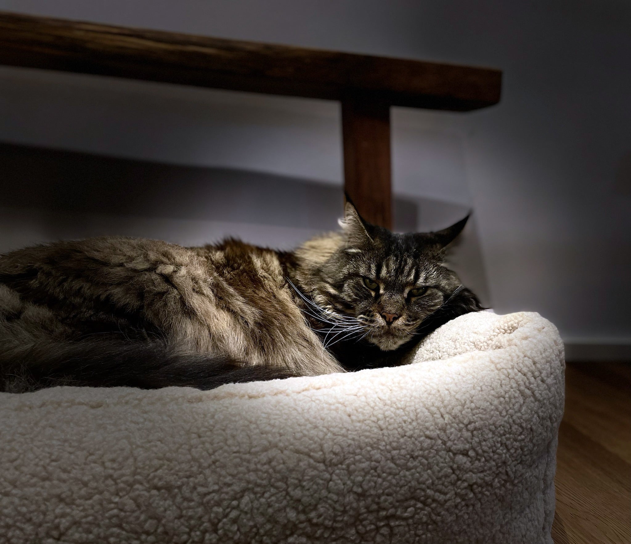 CLASSIC HUNDEBETT - TEDDY CREME