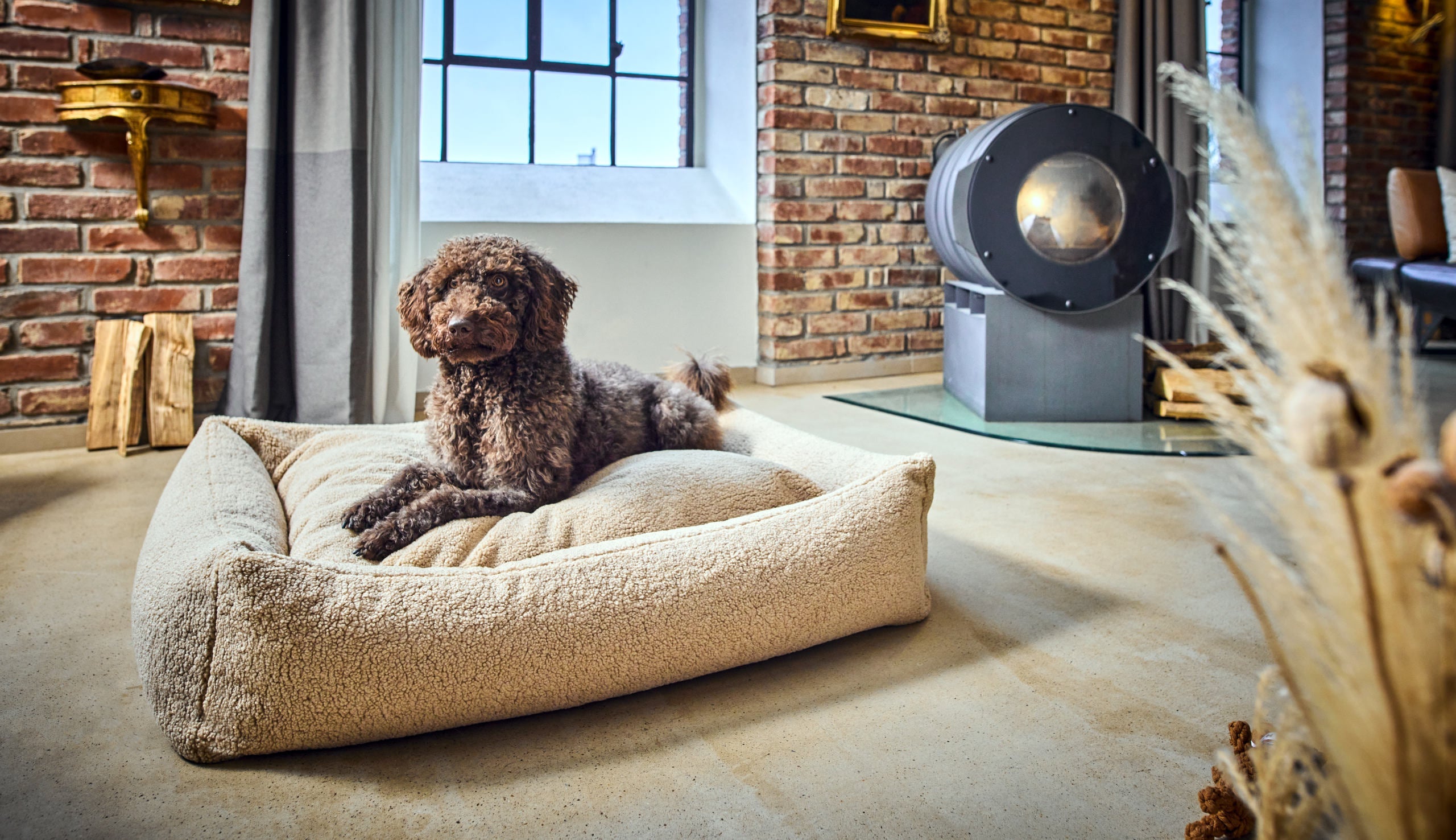 CLASSIC HUNDEBETT - TEDDY CREME