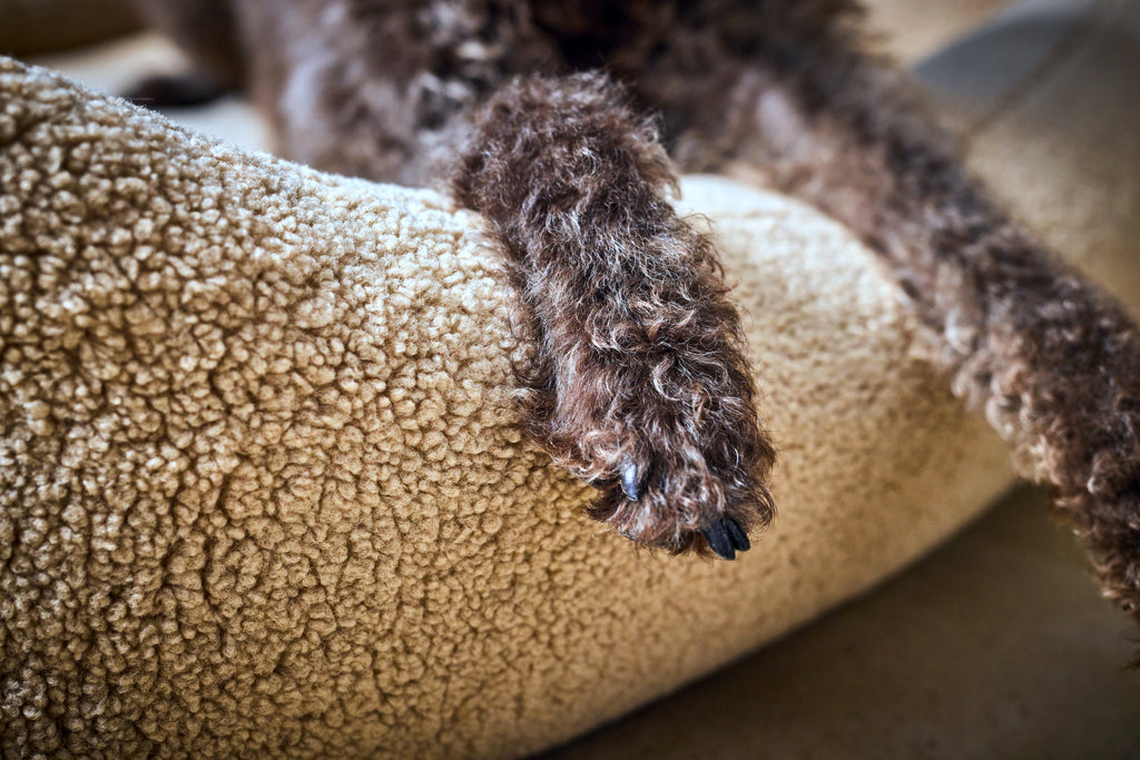 CLASSIC HUNDEBETT - TEDDY CREME