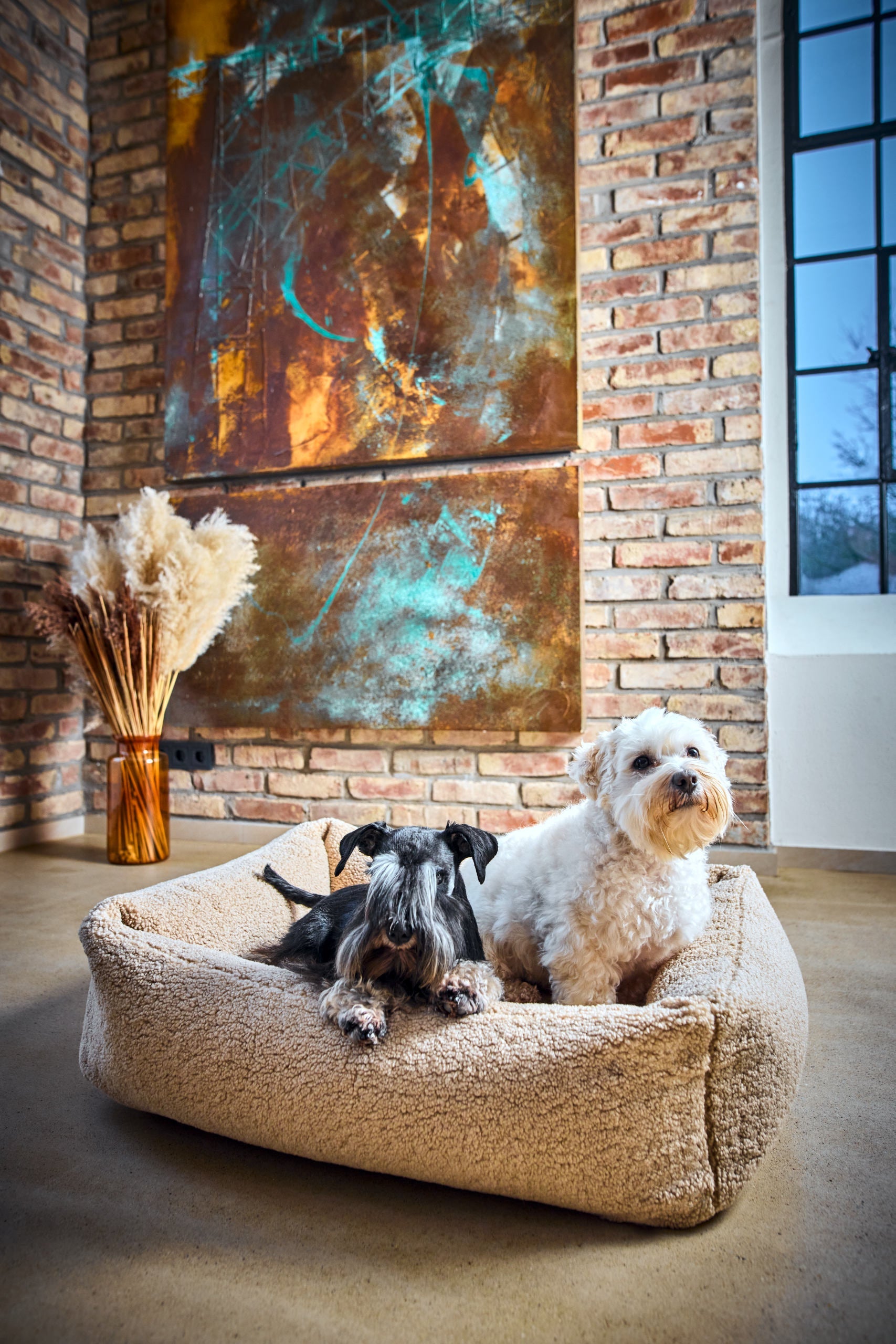 CLASSIC HUNDEBETT - TEDDY CREME