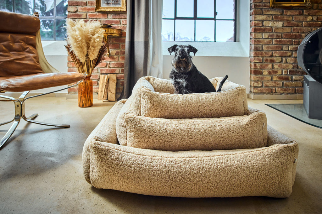 CLASSIC HUNDEBETT - TEDDY CREME