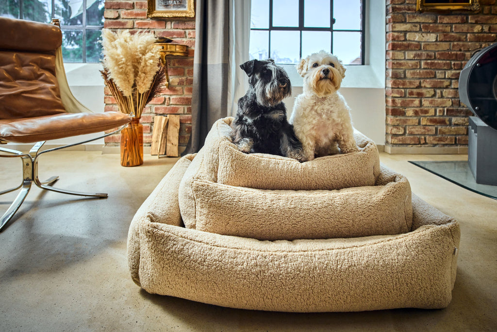 CLASSIC HUNDEBETT - TEDDY CREME